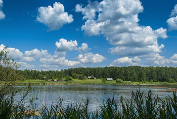 Forest on the banks of the pond and beautiful clouds 
