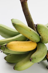 real organic banana