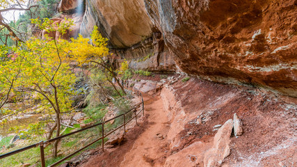 Rim above trail towards Emerald Pools. Amazing red cliffs. EMERALD POOLS TRAIL, Zion National Park, Utah, USA