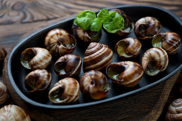 Closeup of a frying pan with baked bourgogne snails, studio shot