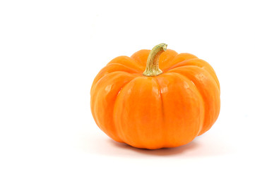Pumpkin isolated on a white background