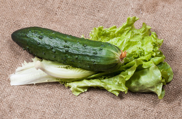 Fresh green lettuce on sackcloth