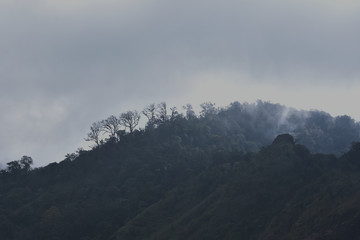 Dark fog and cloud mountain valley spring landscape.