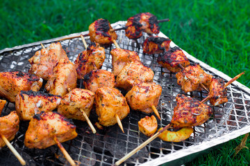 chicken barbecue on the nature of the metal grill stand on the green grass on a bright sunny day
