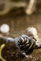 Christmas decoration - fir cones, golden dust and ropes