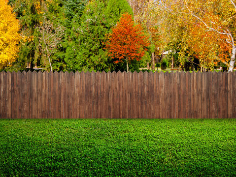 wooden garden fence at backyard