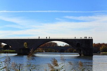 Fototapeta premium Avignon