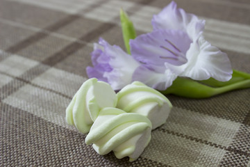 Fototapeta na wymiar gladiolus flower and sweets