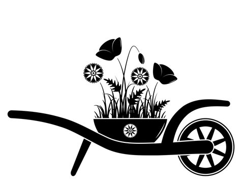 Wheel Barrow And Meadow Flowers