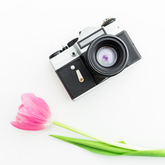 Tulip flowers and camera. Flat lay, Top view
