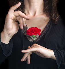 Close up of Andalusian woman holding a red carnation against her