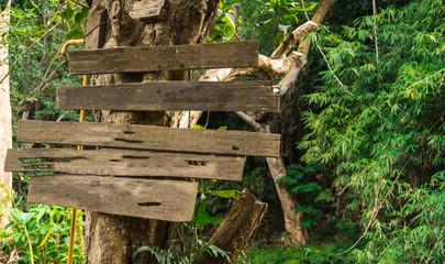 wood signage hang on the tree