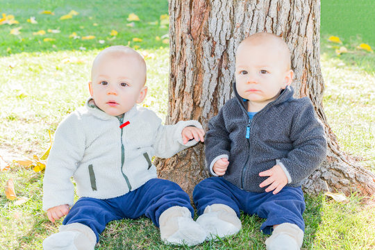 Twin Toddlers Sitting Near Tree Trunk