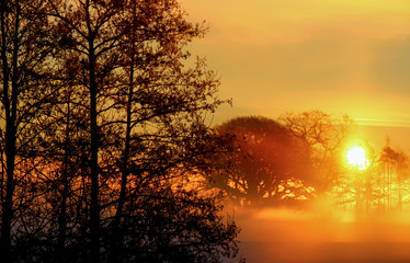 Obraz premium Wintersun