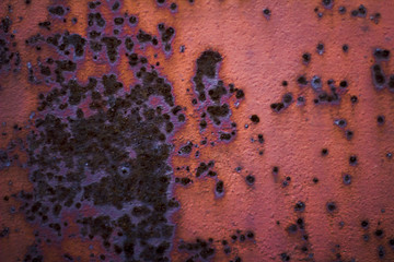 texture rusty metal wall of pink, orange and purple in spots
