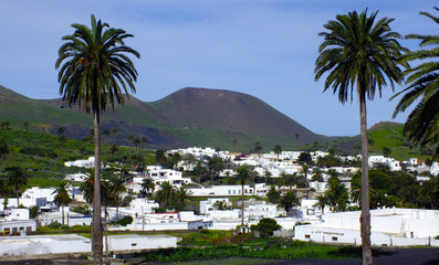 Haría, Lanzarote (Spain)