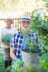 Senior man standing with pot plant in garden