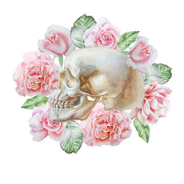 Skull and flowers. Watercolor illustration.