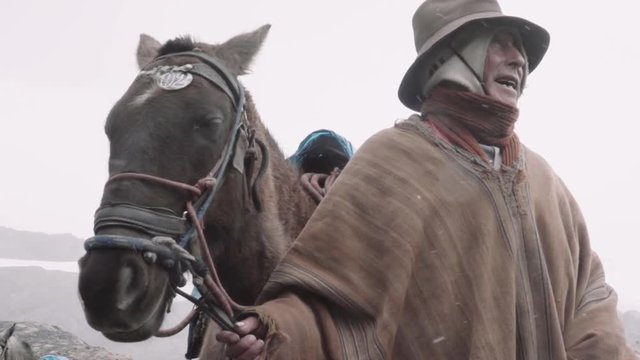 Peruvian muleteer with his horse during a snowfall near the Nevado Pastoruri. Slow motion