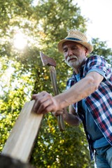 Senior man chopping firewood