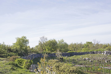 Obraz premium Landschaft in Istrien