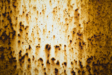 texture of metal wall with rust gold color