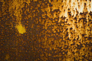 texture of metal wall with rust gold color