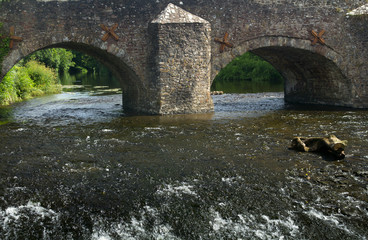 Details Bickleigh Bridge - arch. River Exe. Devon. England