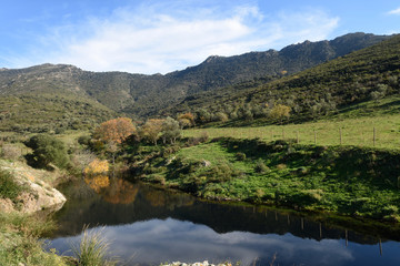 Natural Park of l Albera in the Ampurdan, Girona province, Catalonia, Spain