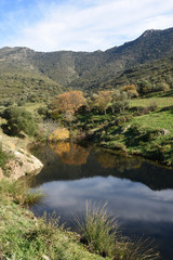 Obraz premium Natural Park of l Albera in the Ampurdan, Girona province, Catalonia, Spain.(Landscape near the Monastery of Sant Quirza)