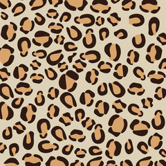 leopard animal print pattern image vector illustration design 