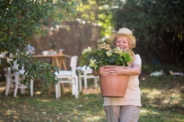 Senior woman carrying pot plant in garden