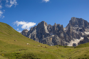 Fototapeta na wymiar Prato di montagna e dolomiti
