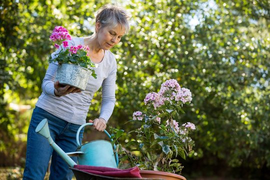 Senior woman gardening in garden