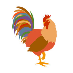 rooster vector illustration style Flat