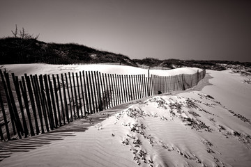 Sand Dune Fence