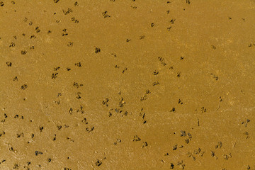 Lugworm worm casts on beach