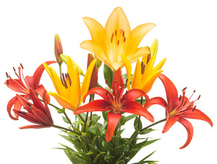 Beautiful bouquet of lily flowers