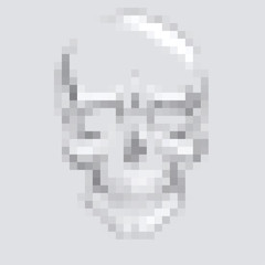 Obraz premium skull pixel art