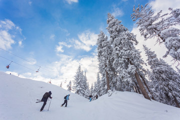 Naklejka na ściany i meble People play ski in resort in winter