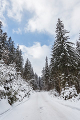 Winter landscape with the road