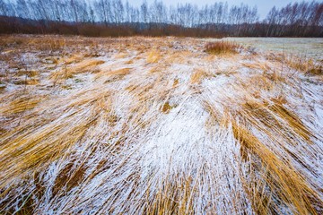 Bad weather winter meadow landscape