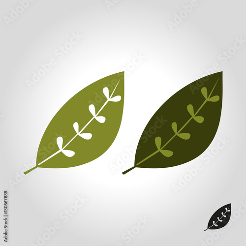 "leaf" Stock image and royalty-free vector files on Fotolia.com - Pic