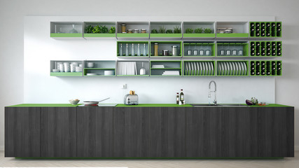 Scandinavian white kitchen with wooden and green details, minima
