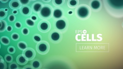 Biology background. Abstract vector cells illustration. Microscope view. Horizontal banner © amiak