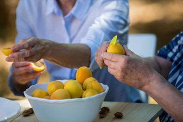 Senior couples removing seeds of apricot fruits in garden