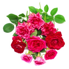 A beautiful bouquet of red flowers