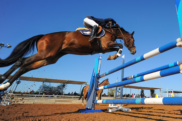 Reiter auf Pferd springt während der Reitveranstaltung über eine Hürde