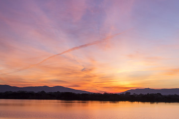 Fototapeta premium Susnet