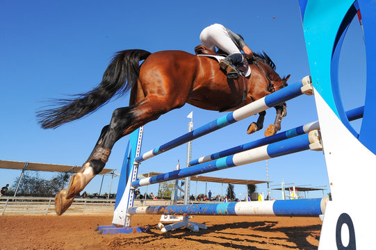 Rider on horse jumping over a hurdle during the equestrian event